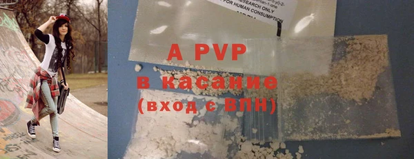 спиды Богданович