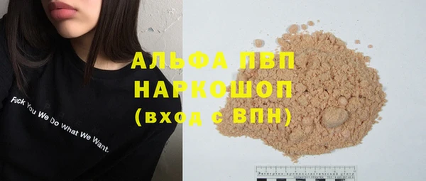 спиды Богданович