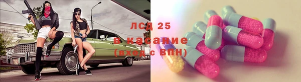 спиды Богданович