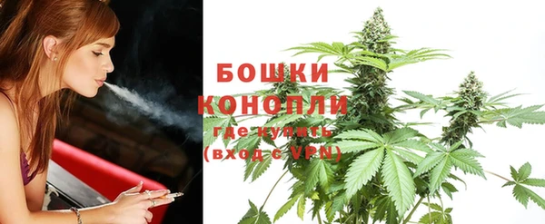 винт Богородск