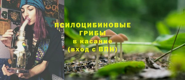 ПСИЛОЦИБИНОВЫЕ ГРИБЫ Богородицк